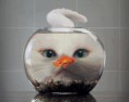 /album/fotogalereya/lovhb5yihji-jpg/