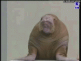 /album/gifki/a13754639135669-gif/